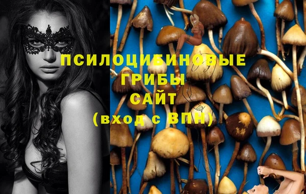 бошки Аркадак