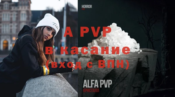 бошки Аркадак